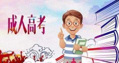 淄博成人高考专升本政治考试答题